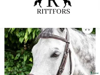 Träns hästutrustning Helt nytt Prestige träns säljes i Norrköping - Annons 3