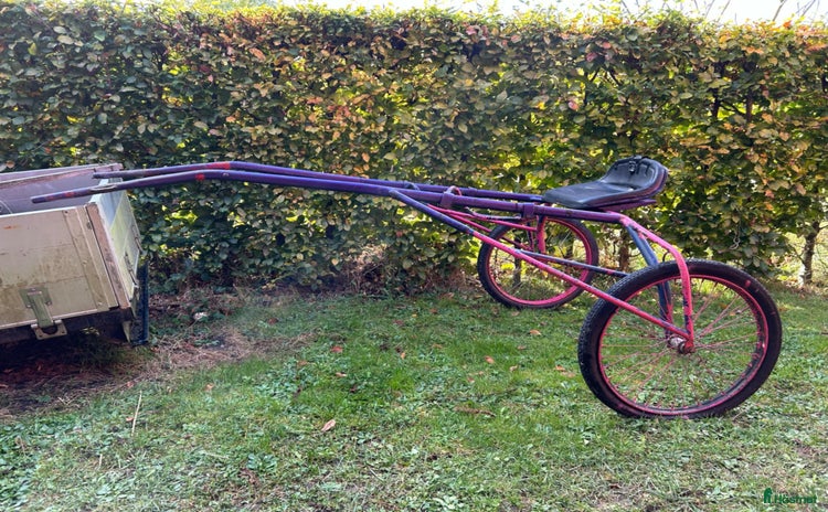 Körsulkys körning till salu i Eket - Annons 12