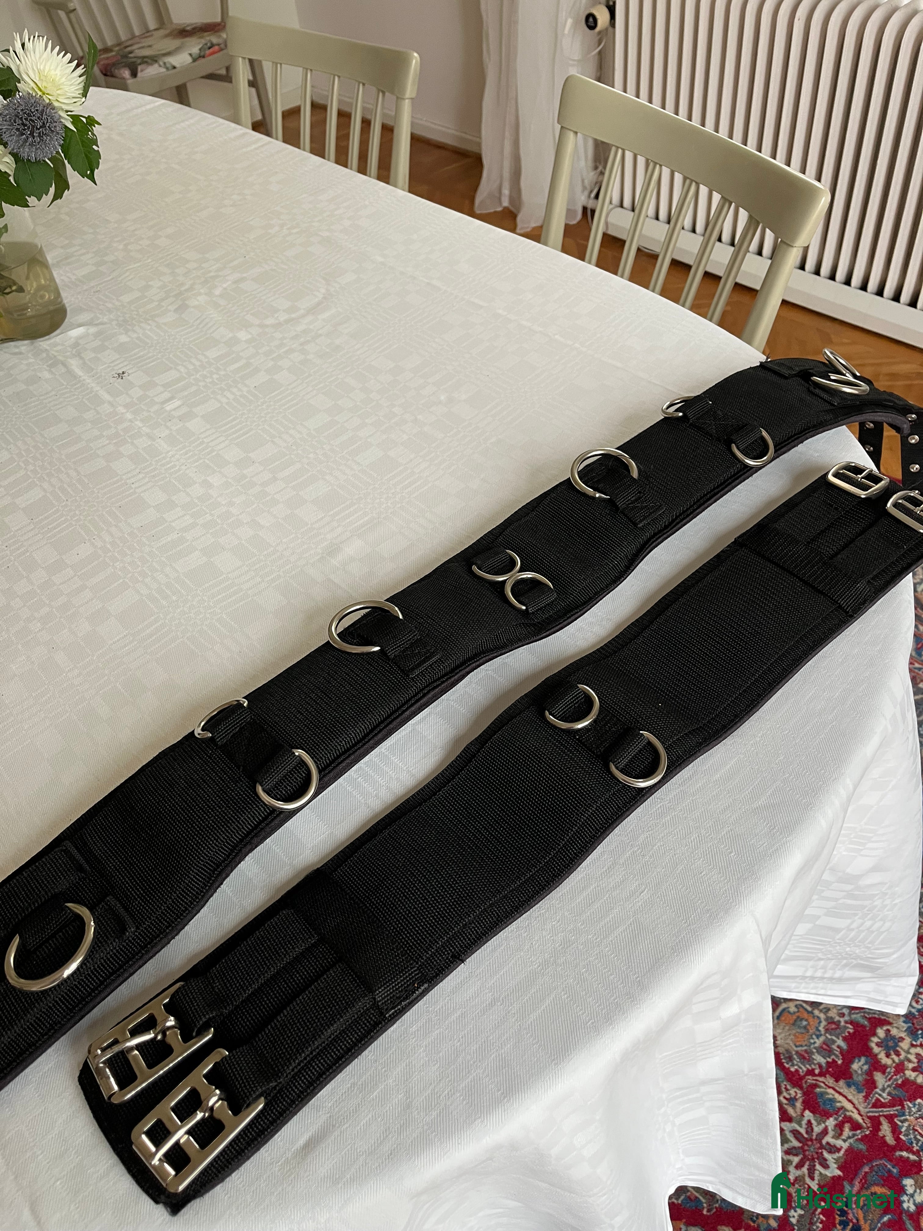 Övrig Hästutrustning hästutrustning Svart tömkörningsgjord  - Annons 12