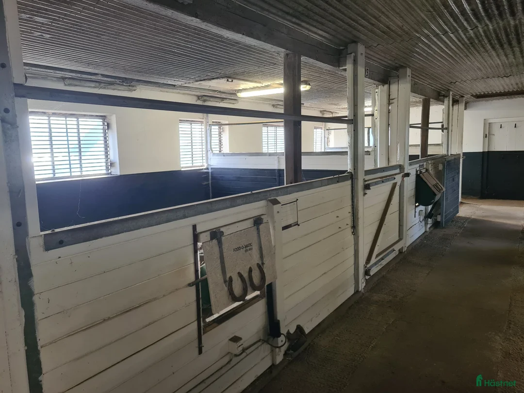  stallplats finnes: En eller ev två stallplatser till sto - Annons 1