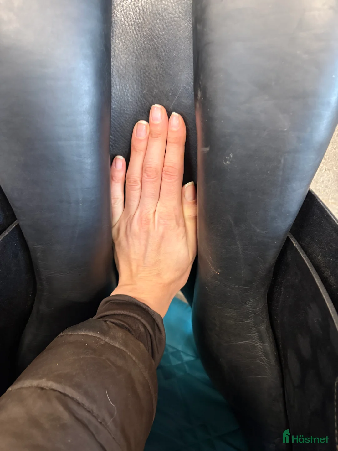 Sadlar hästutrustning till salu: Prestige Roma  - Annons 7