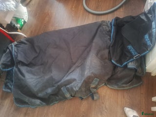 Täcken hästutrustning till salu: Vinter täcke i Västerhaninge - Annons 15