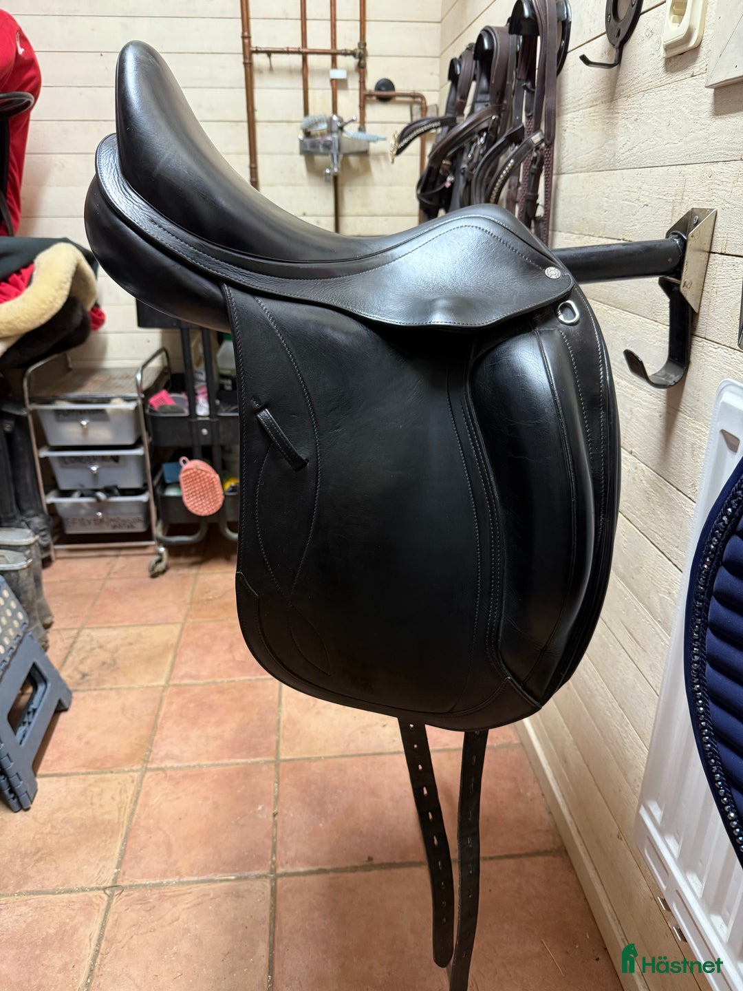 Sadlar hästutrustning till salu: Equipe Olympia Special  i Västra Frölunda - Annons 2