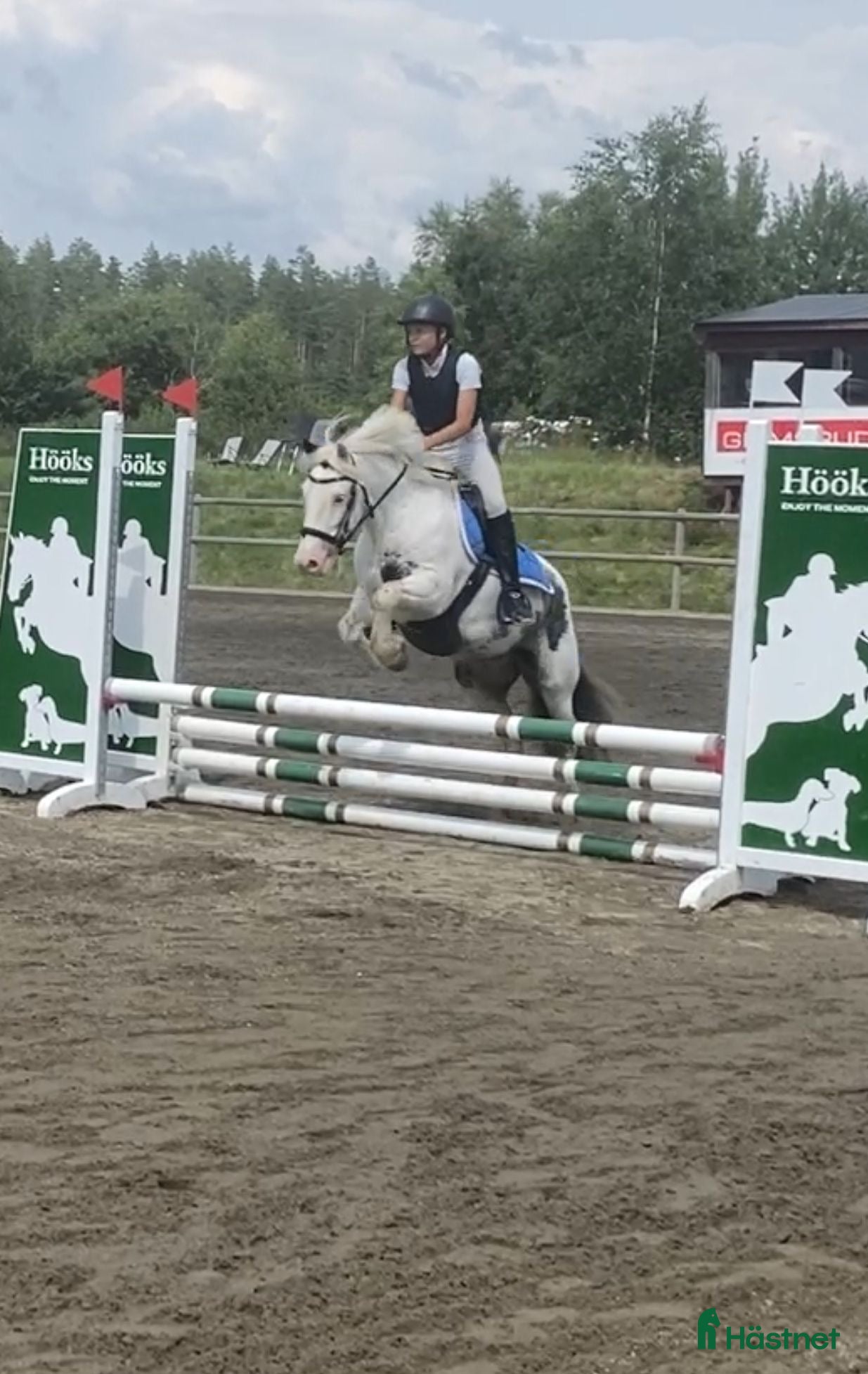 Allround hästar till salu: Underbar B-ponny  i Kärna - Annons 1