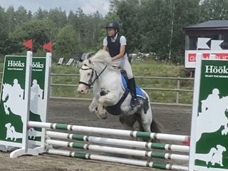 Allround hästar till salu: Underbar B-ponny i Kärna - Annons 1