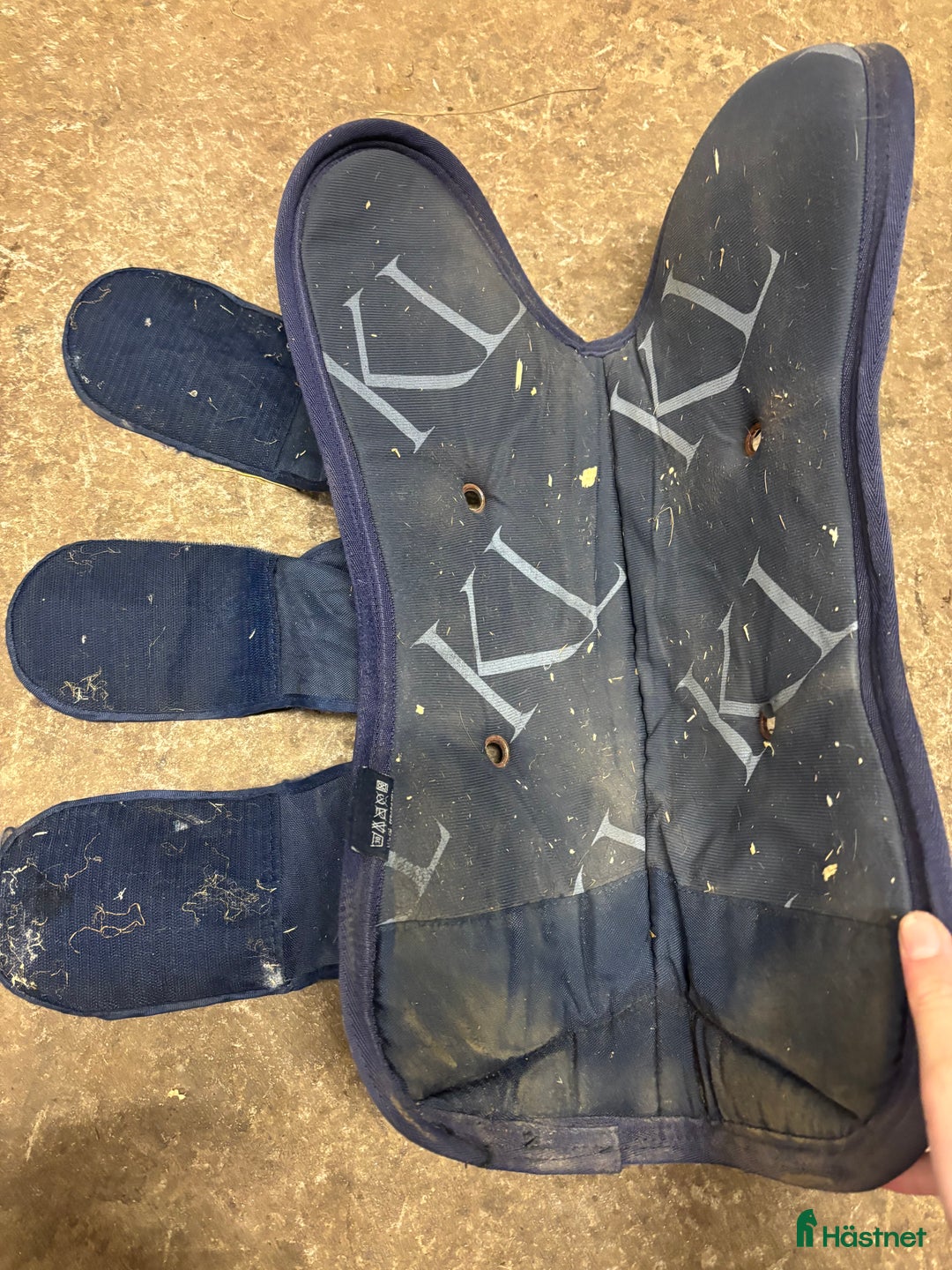 Benskydd hästutrustning till salu: Kingsland transportskydd  i Vinninga - Annons 3