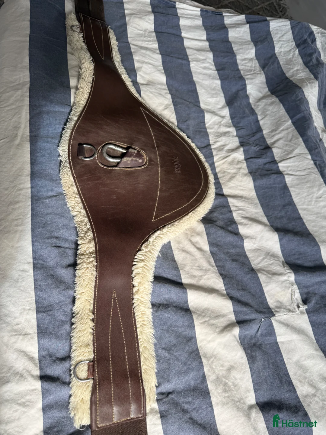 Sadeltillbehör hästutrustning till salu: Blandat säljes cwd prestige passier freejump mm - Annons 2