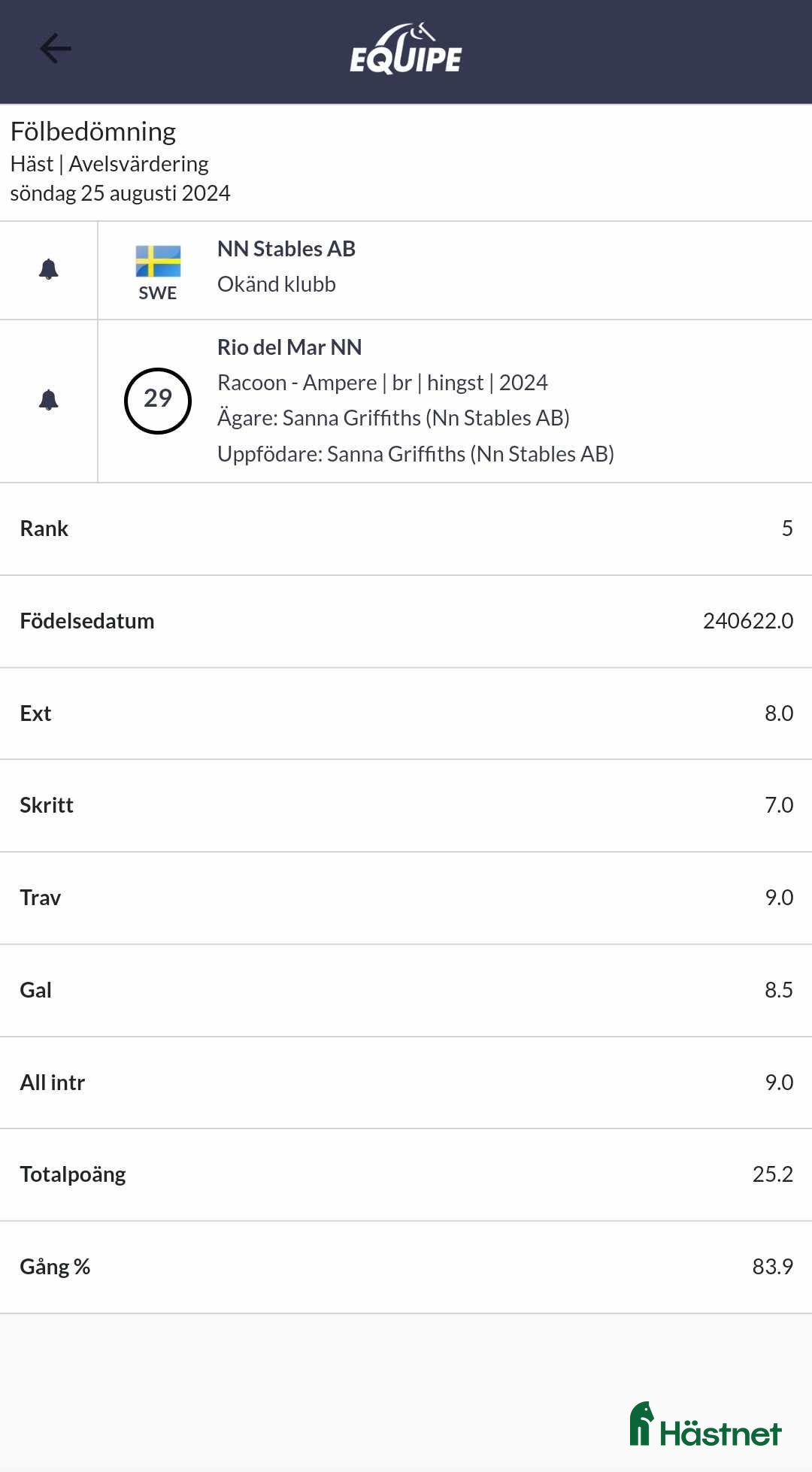 Dressyr hästar till salu: Valack e. Raccon född 2024 i Ransta - Annons 3