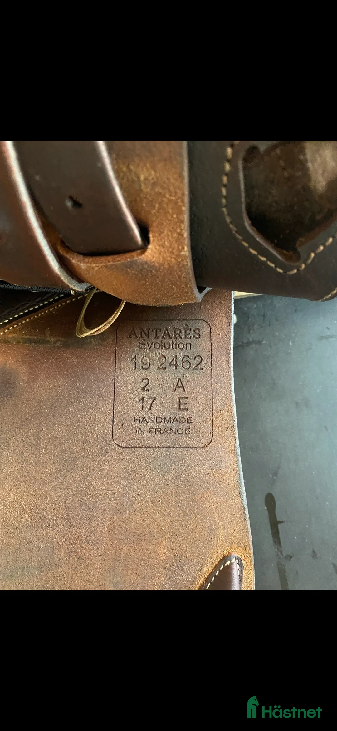 Sadlar hästutrustning till salu: Antares evolution  i Ekerö - Annons 6