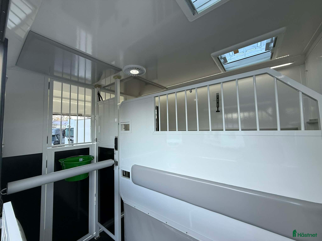 Hästlastbilar  fordon & transport till salu: NORDIC HORSE 5 STUTERI *HÖG LASTVIKT* i Köping - Annons 8