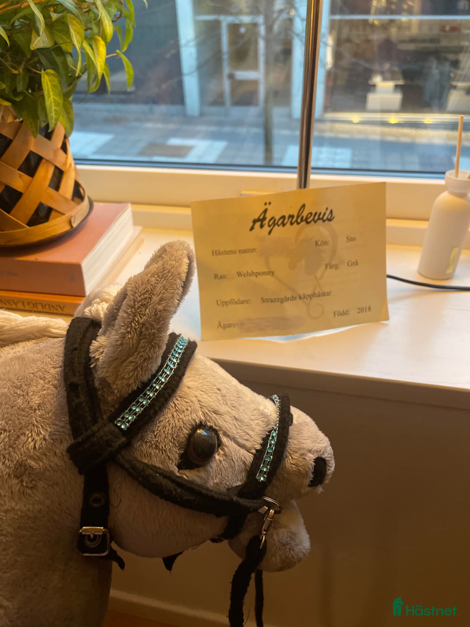 Hästinspirerad heminredning övrig utrustning till salu: ”limited edition” käpphäst! - Annons 1