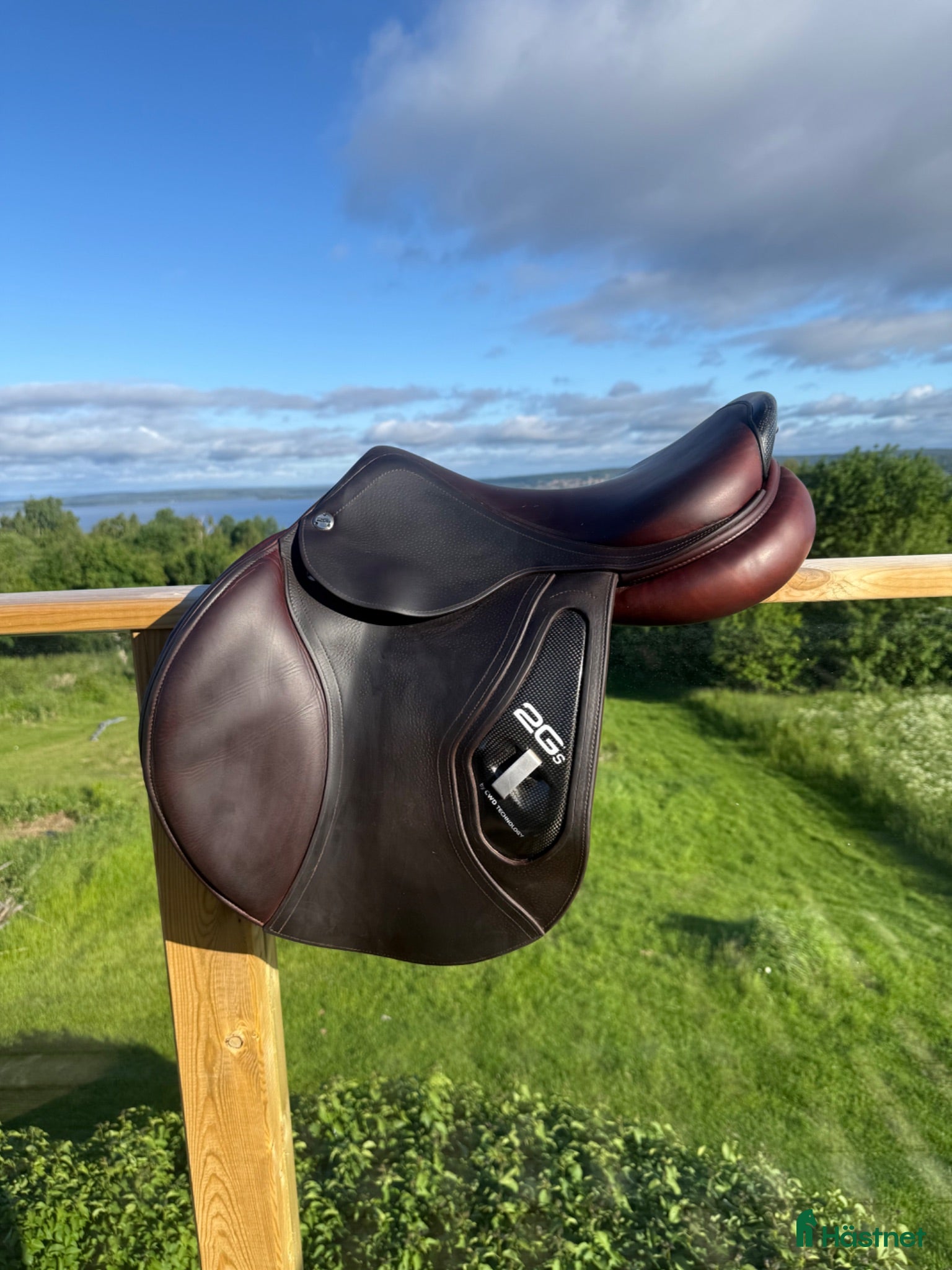 Sadlar hästutrustning CWD 2Gs - Annons 4