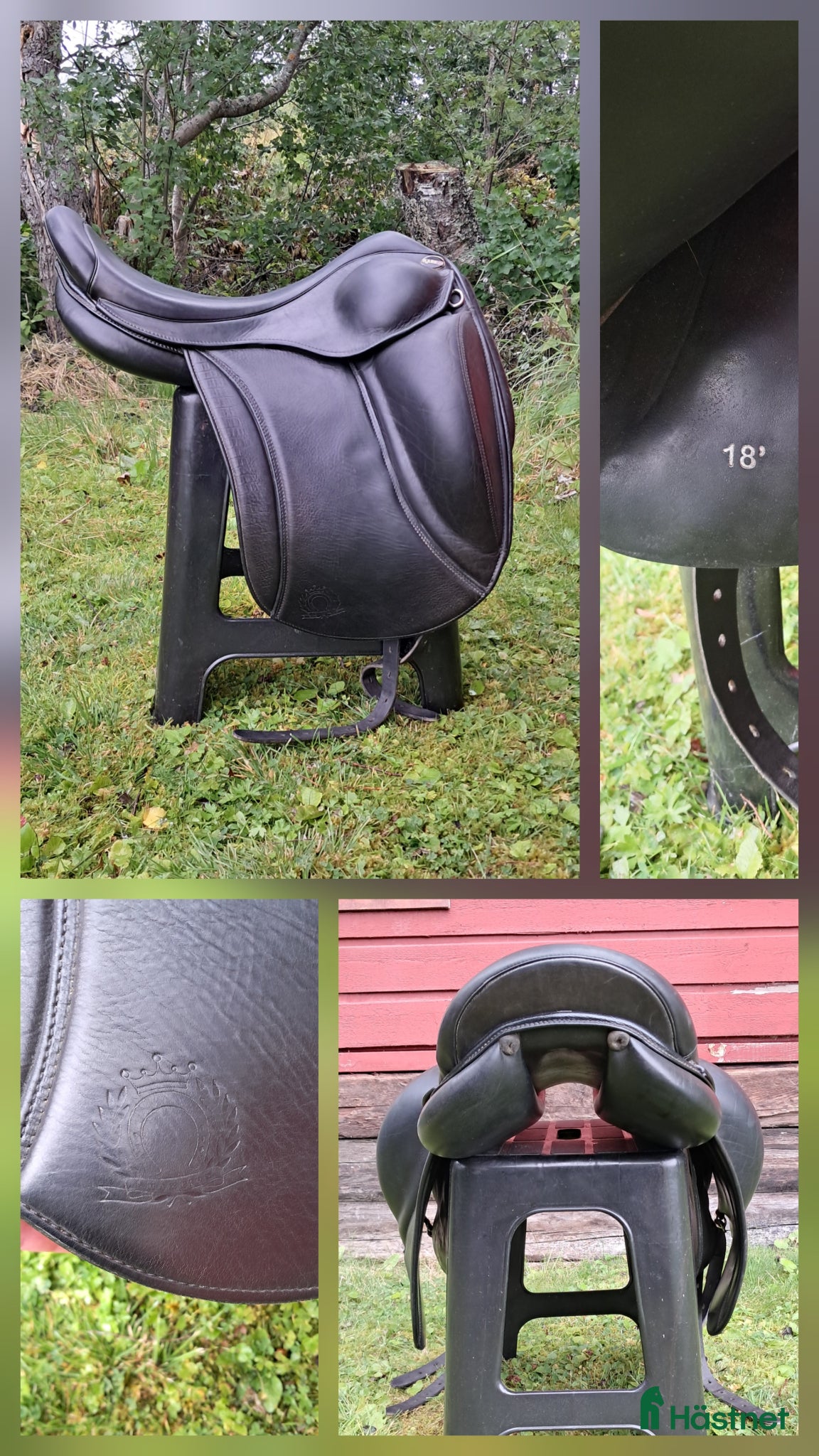 Sadlar hästutrustning Eques champion  - Annons 3