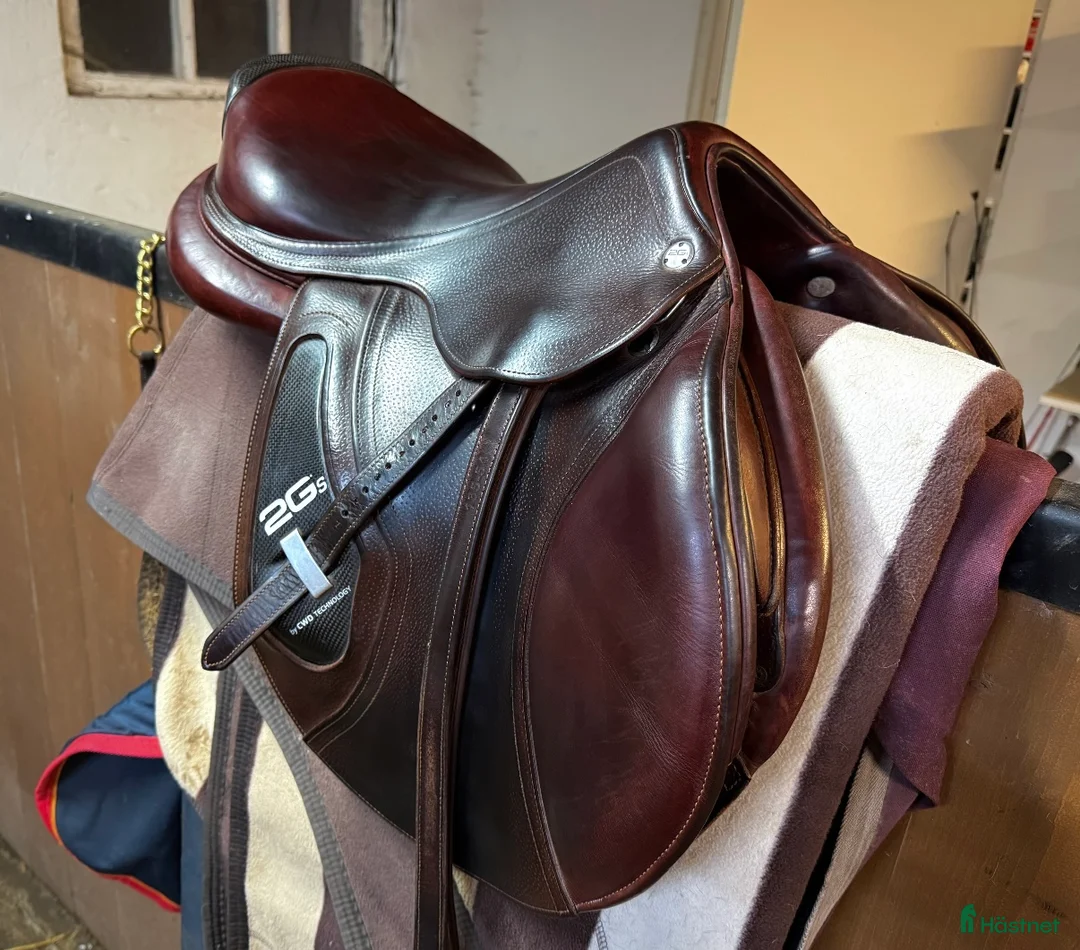 Sadlar hästutrustning till salu: Cwd 2Gs i Sölvesborg - Annons 3