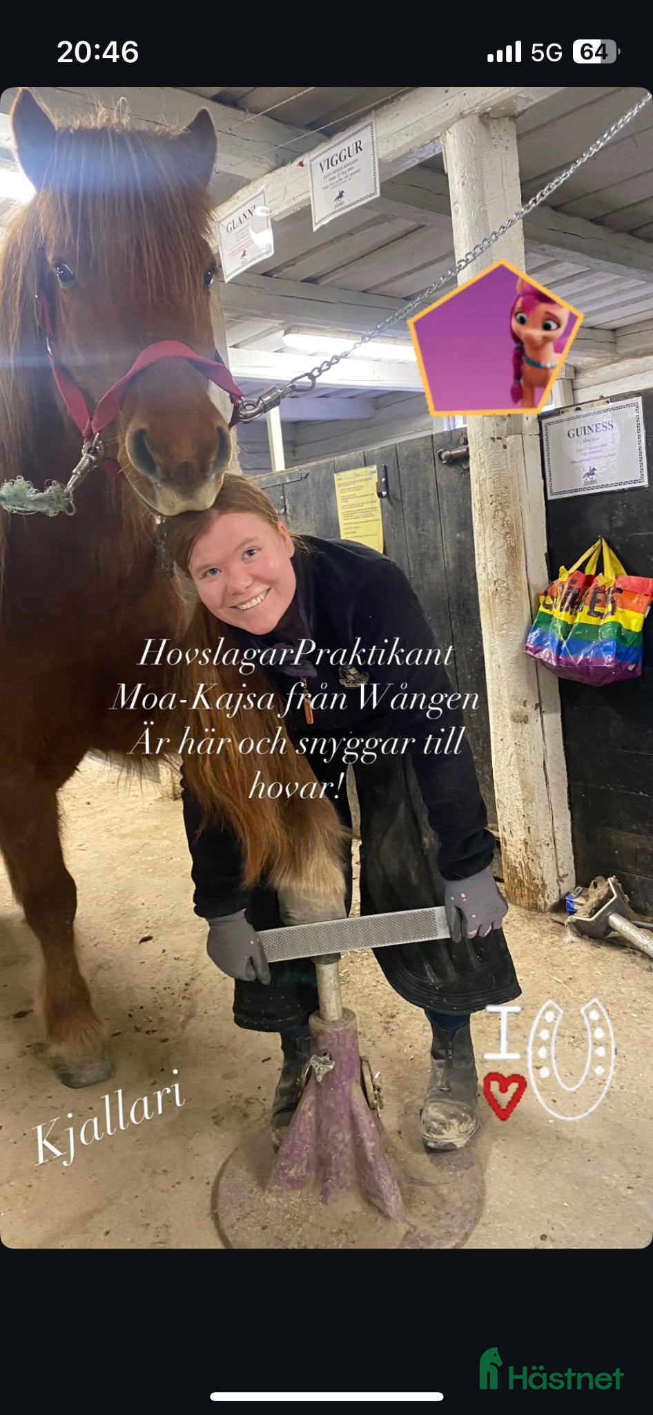  hästservice Barfotaverkning av häst nya kunder välkomnas  - Annons 6