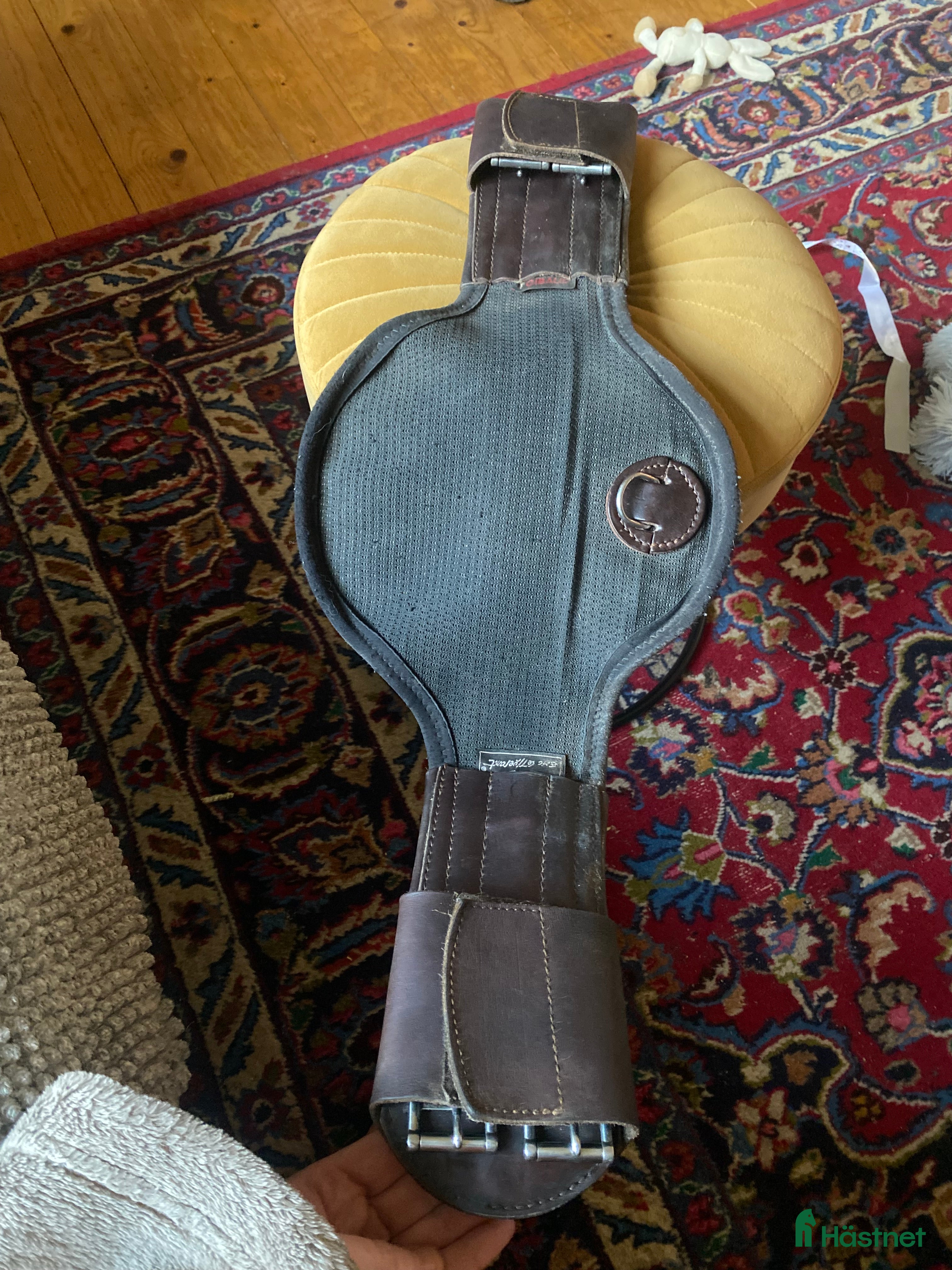 Sadeltillbehör hästutrustning till salu: Dressyr gjord ELT i Hörby - Annons 19