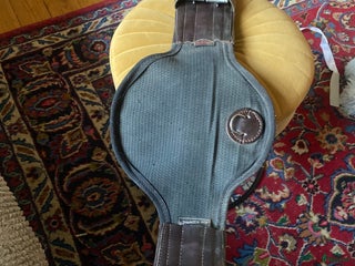 Sadeltillbehör hästutrustning till salu: Dressyr gjord ELT i Hörby - Annons 3