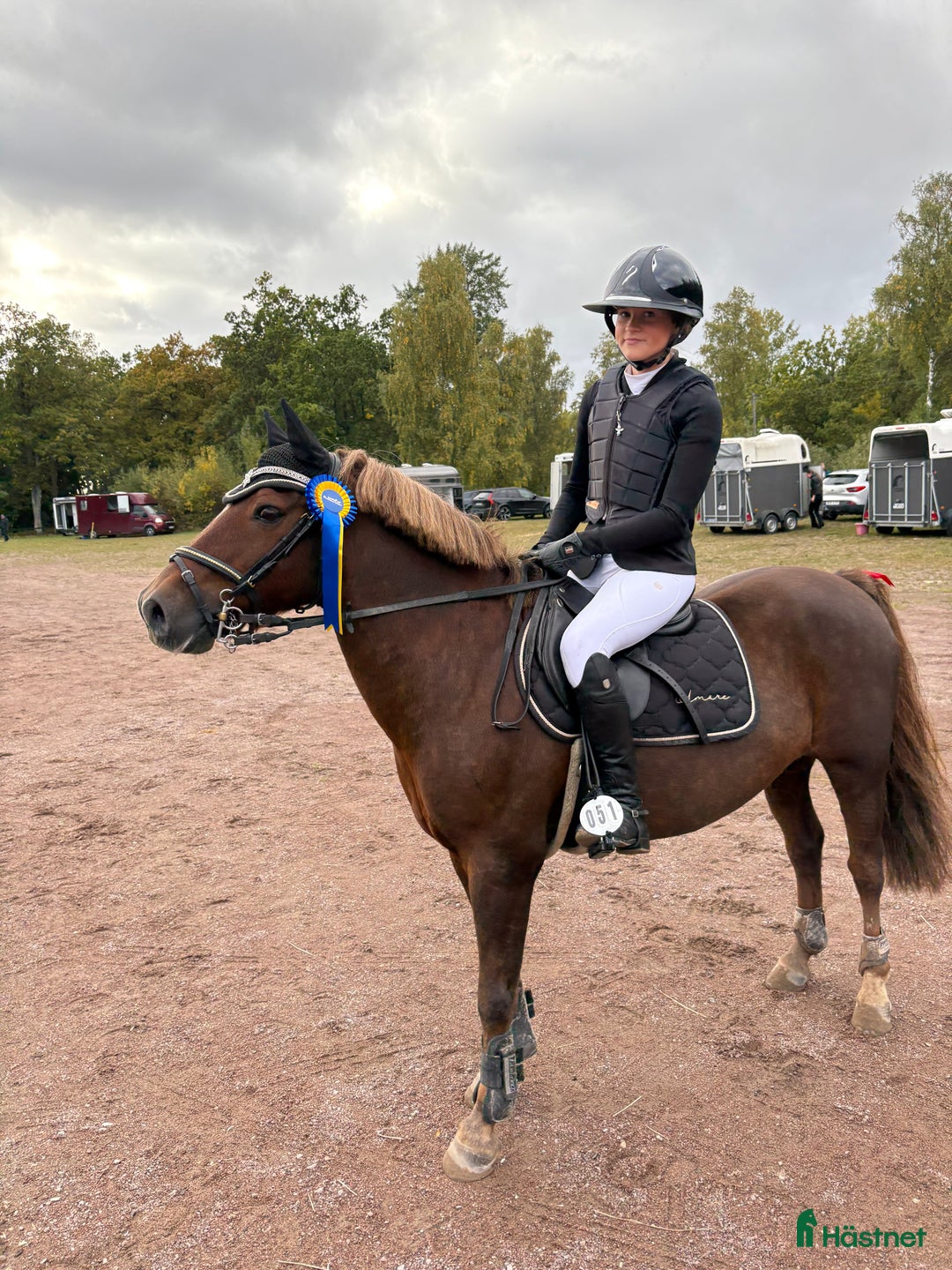 Hoppning hästar till salu: One in A million ponny🌟 i Färjestaden - Annons 11