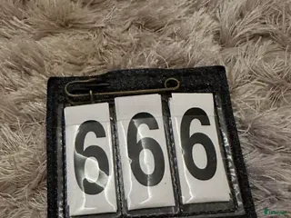 Övrig Hästutrustning hästutrustning Säljer denna nummerlapp - Annons 2