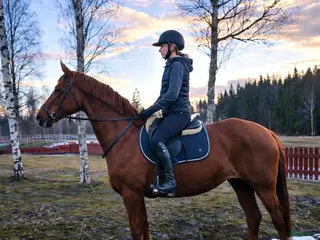 hästar Vänligt & arbetsvilligt sto. - Annons 11