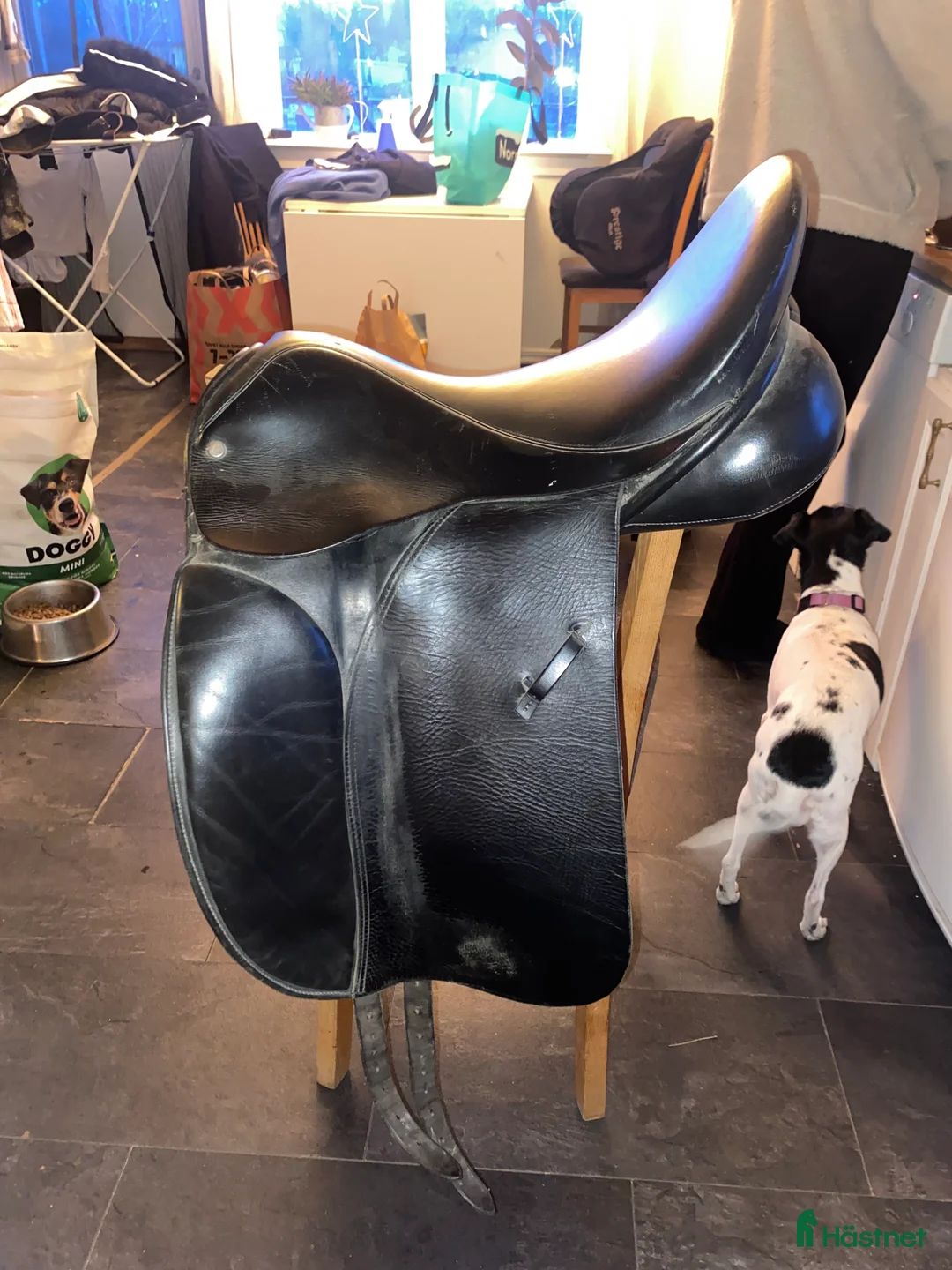 Sadlar hästutrustning till salu: Jensen Saddler dressyr - Annons 1