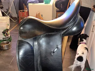 Sadlar hästutrustning Jensen Saddler dressyr - Annons 2