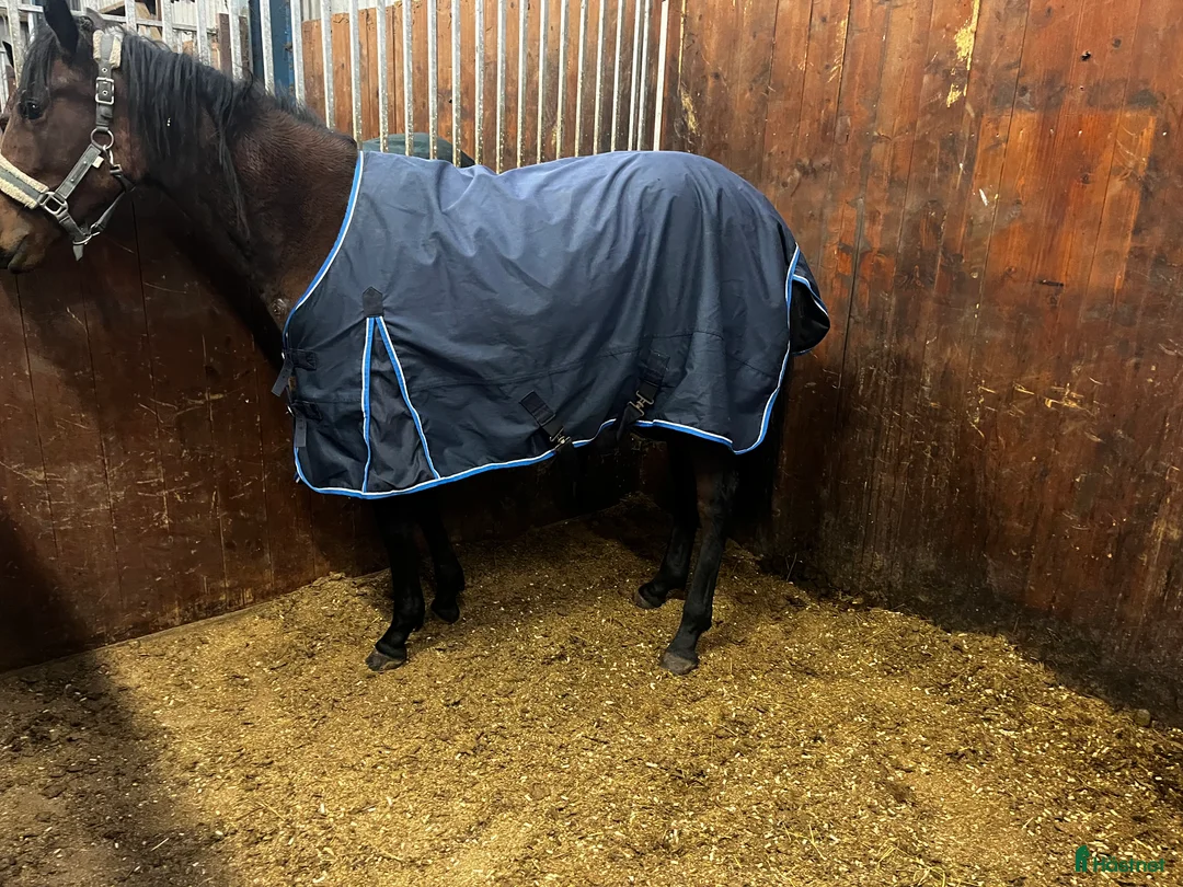 Galleribild {{count}}