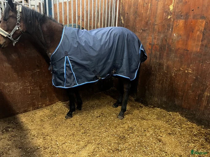 Galleribild {{count}}