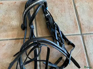 Träns hästutrustning Fint svar Cob träns många delar i Uppsala - Annons 2