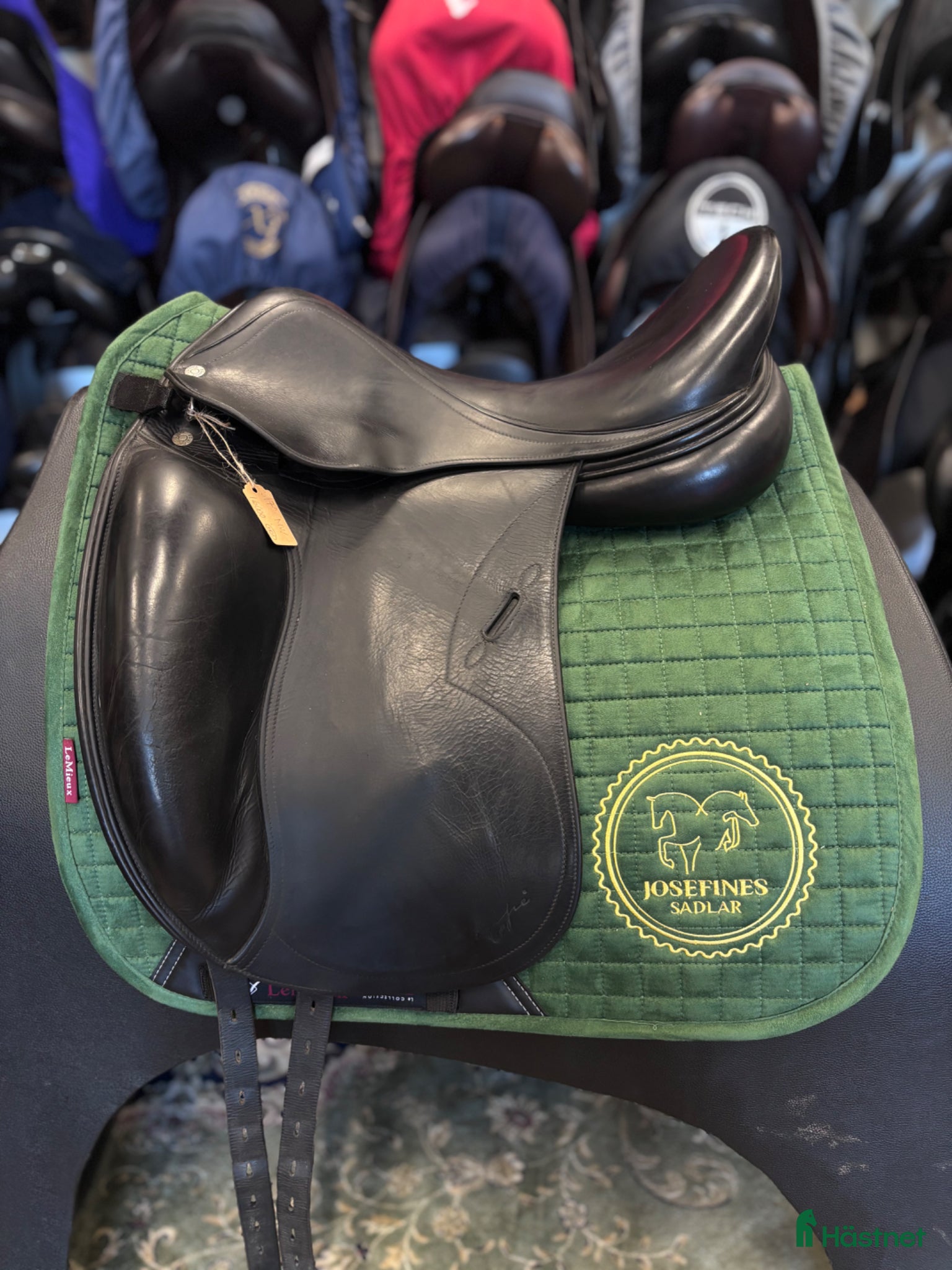 Sadlar hästutrustning Equipe Oracle ✨ - Annons 9