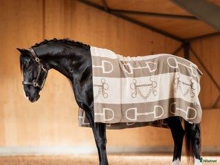 Täcken hästutrustning till salu: Fleece filt med häst motiv från hööks i Älvkarleby - Annons 1