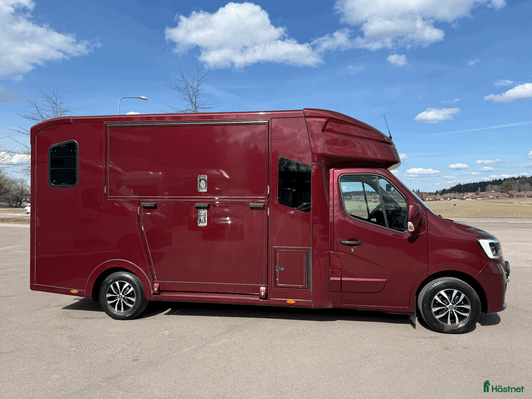 Hästlastbilar  fordon & transport till salu: PARAGAN EXCELSION 5XL STUTERI LÅG SKATT  - Annons 2