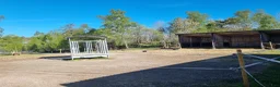  stallplats finnes: Lösdrift för valack - Annons 3