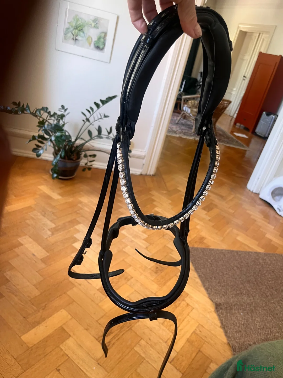 Träns hästutrustning till salu: The Equemist nr. 19 + tyglar - Annons 2