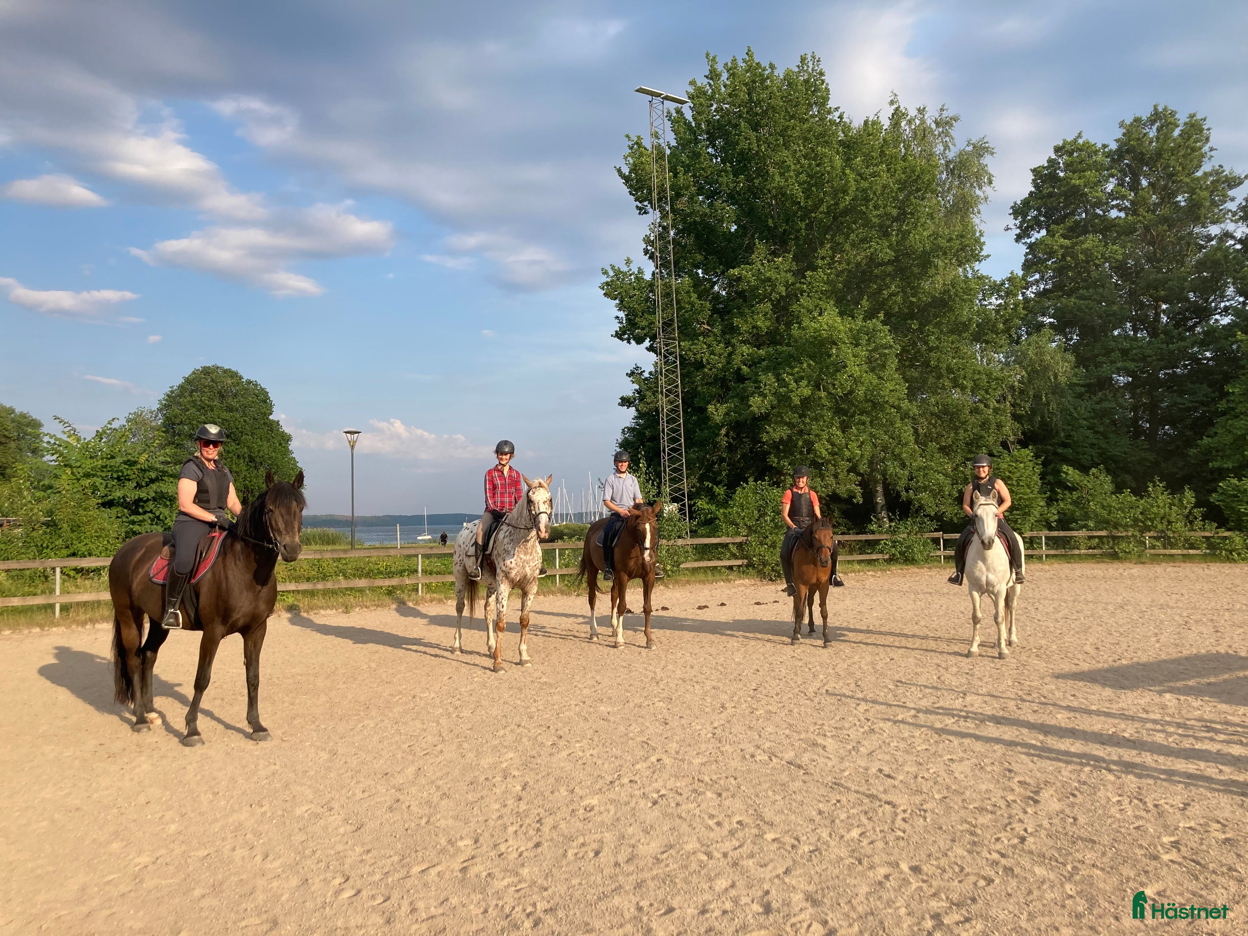  hästjobb Ridlärare sökes till Ridskola i Täby, Viggbyholm i Täby - Annons 15