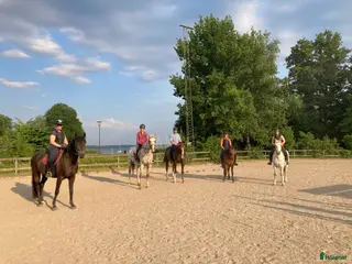 hästjobb Ridlärare sökes till Ridskola i Täby, Viggbyholm i Täby - Annons 15