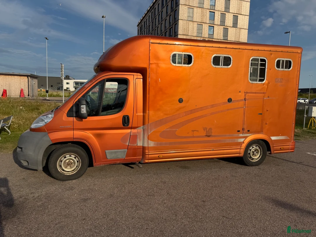 Hästlastbilar  fordon & transport till salu: Equi-Trek Peugeot 2009 – Drag 2 500 kg • B-kort - Annons 1