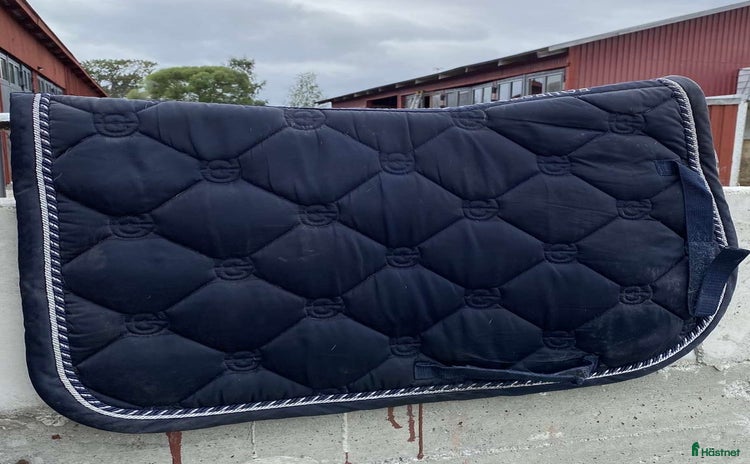 Schabrak & Vojlockar hästutrustning till salu i Östersund - Annons 12