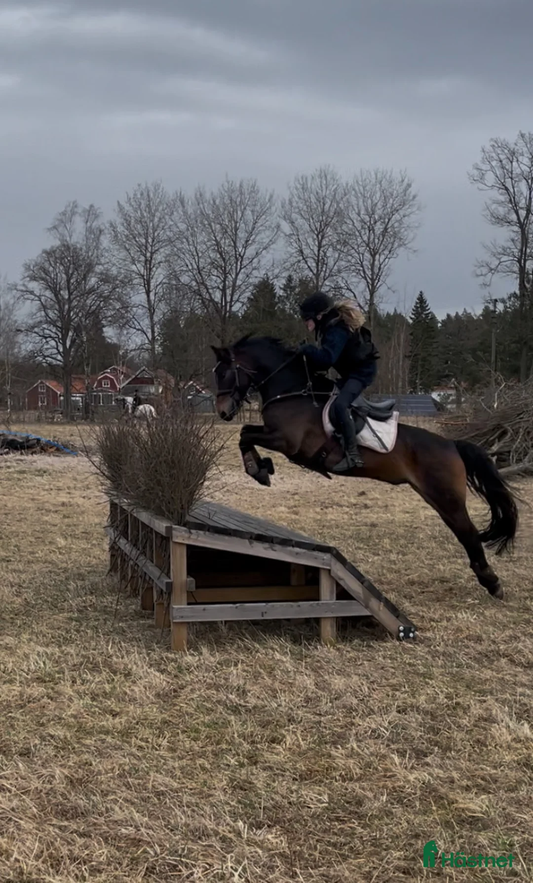 Hoppning hästar till salu: Fantastisk B-ponny Welsh – tävlingsponny i Sollentuna - Annons 2