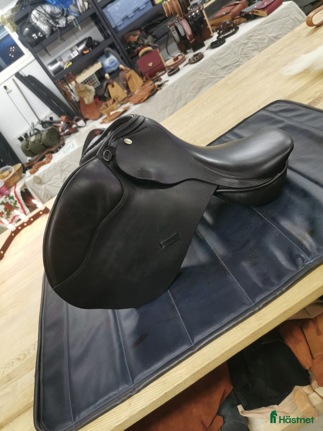 Sadlar hästutrustning till salu: Globus Esperanza 16,5 i Vännäs - Annons 1