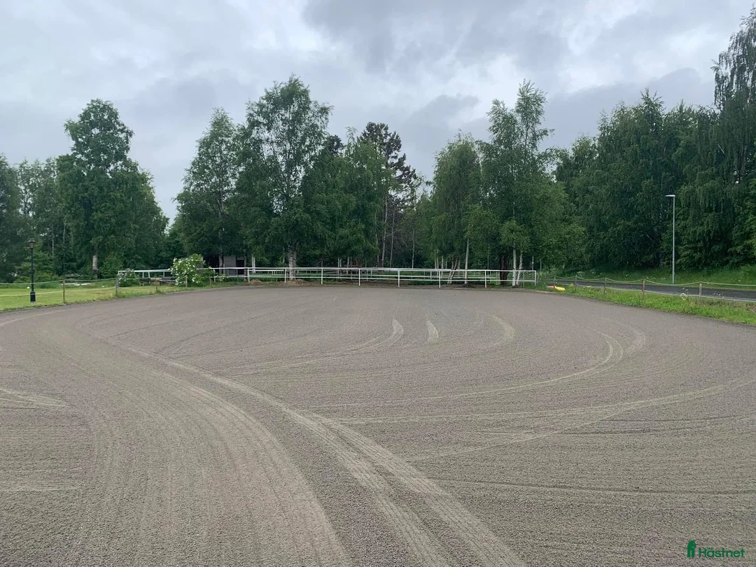  stallplats finnes: Stallplats Bergsbyn Skellefteå i Skellefteå - Annons 2