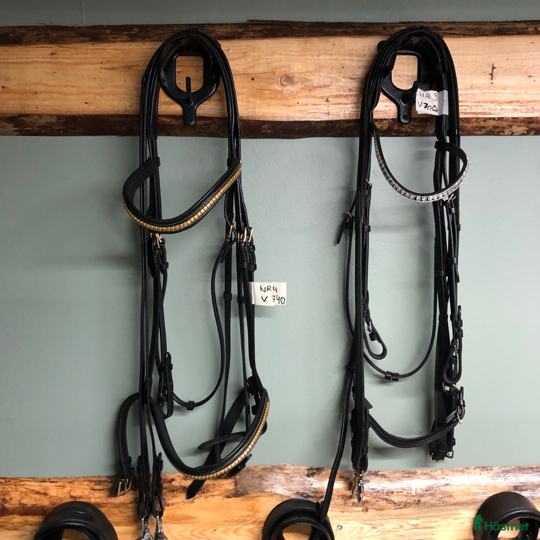 Träns hästutrustning till salu: X-full träns i Vara - Annons 1