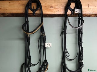 Träns hästutrustning till salu: X-full träns i Vara - Annons 2