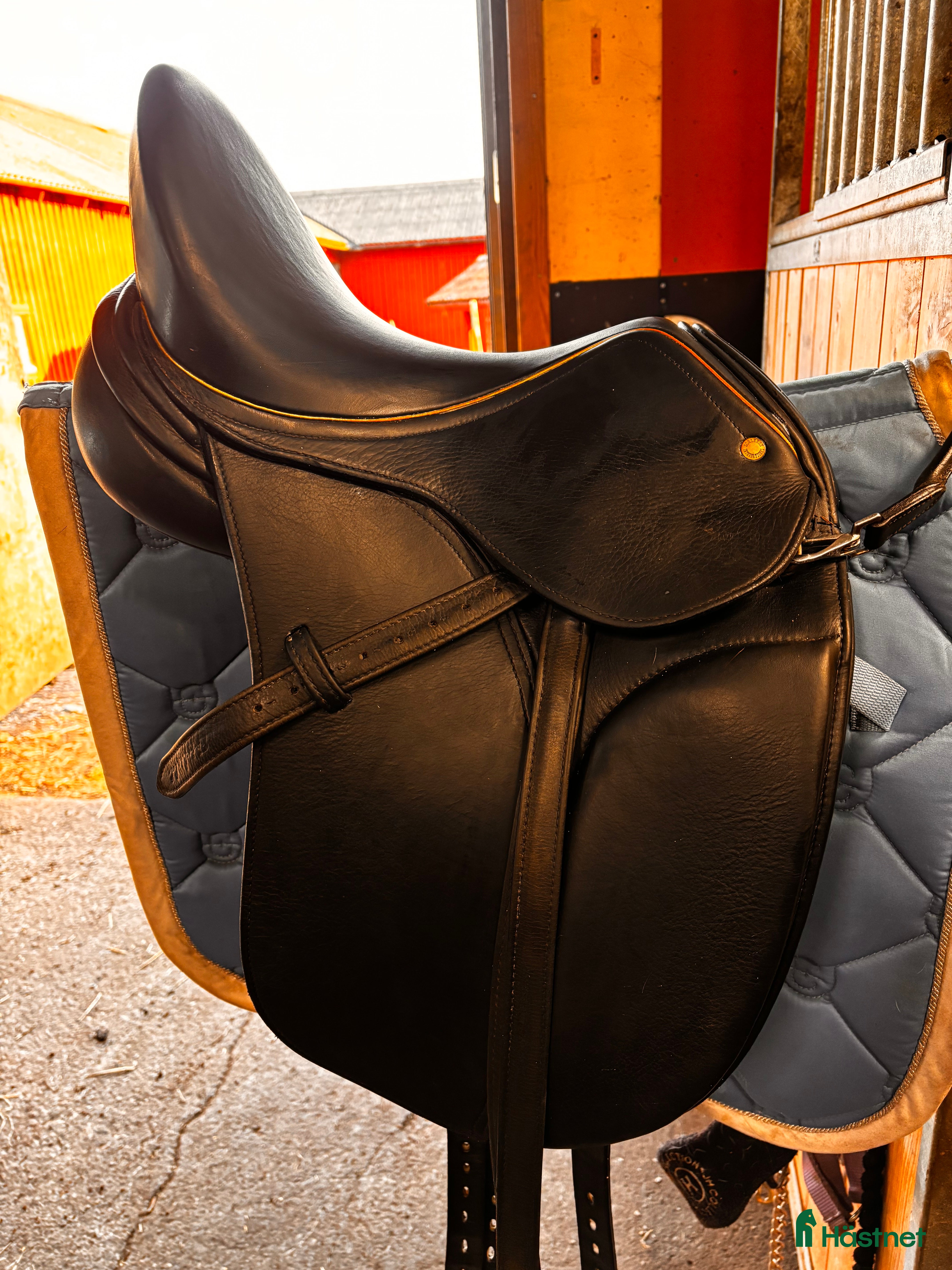 Sadlar hästutrustning Schleese Trollie Dressyr Sadel pony - Annons 1