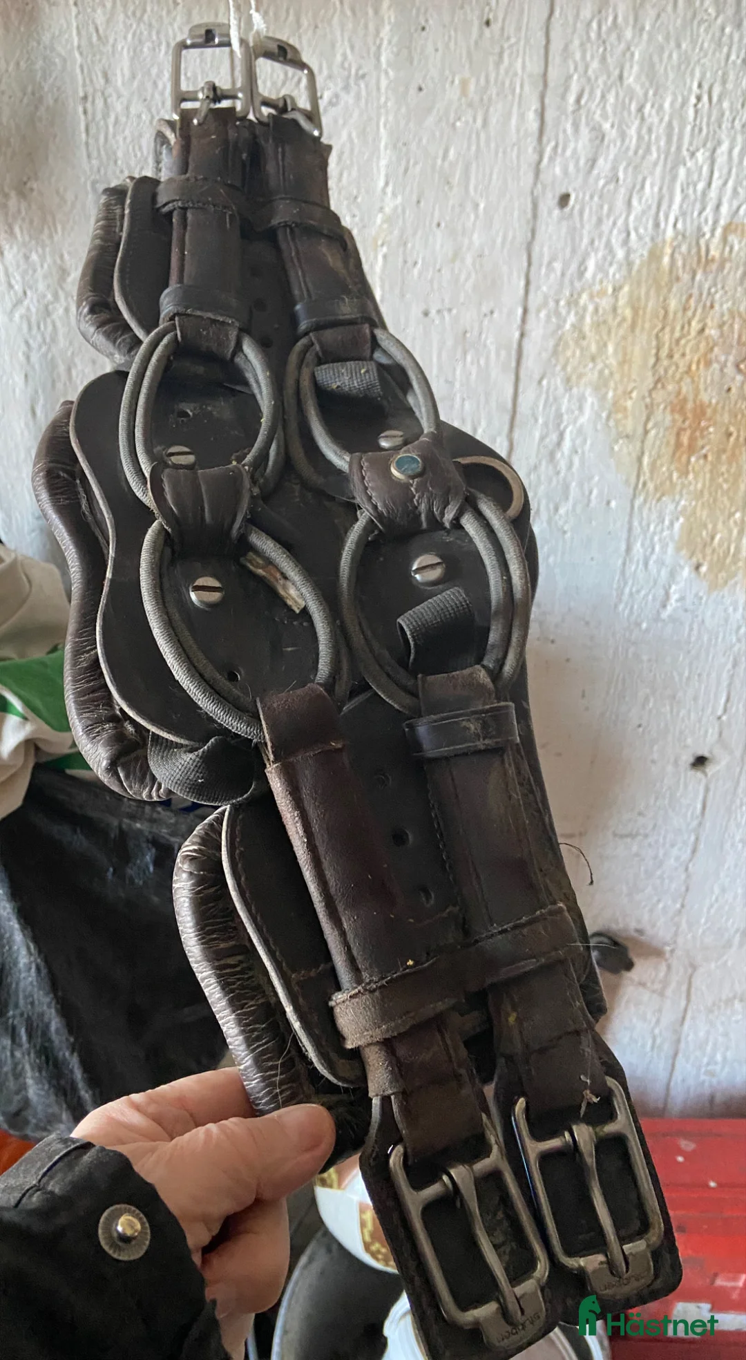 Sadeltillbehör hästutrustning till salu: Sadelgjord - Annons 2