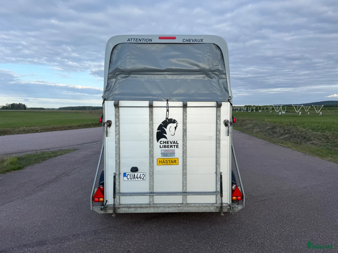 Hästtransporter  fordon & transport till salu: Cheval Gold Aluline -19 - Annons 4
