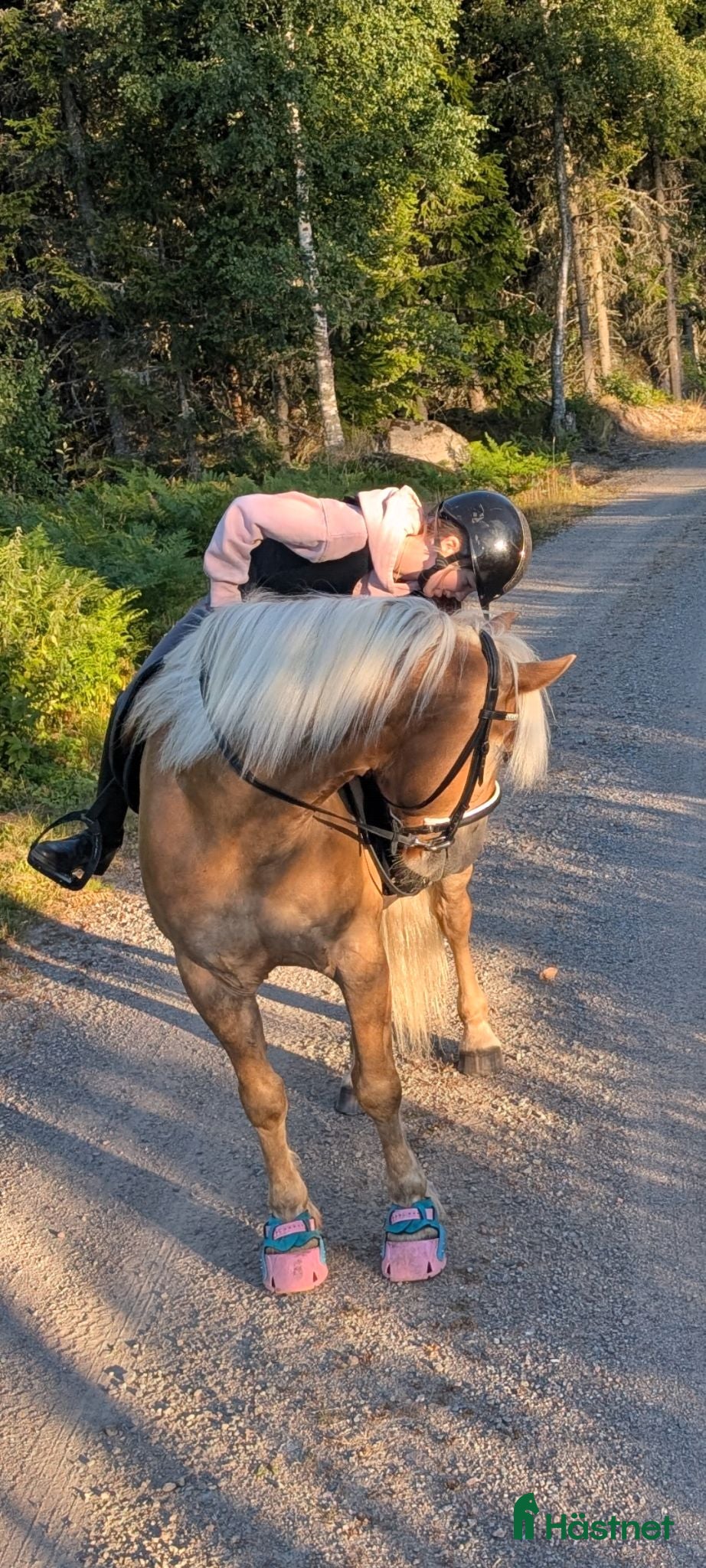  hästar Söker c, d ponny  - Annons 10