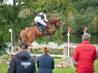 hästservice finnes: Inridning, utbildning och försäljning i Ramnäs - Annons 1