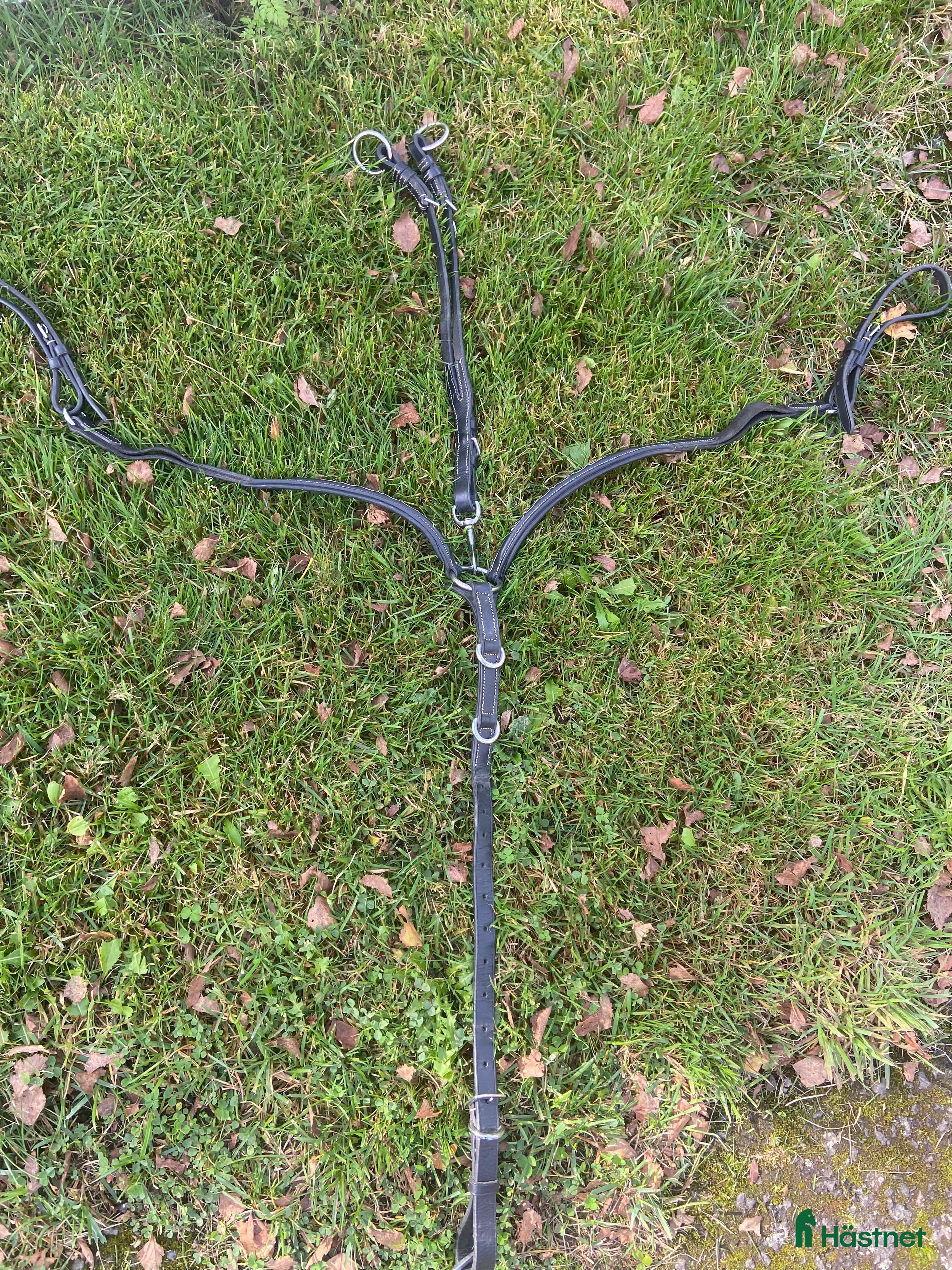 Sadeltillbehör hästutrustning till salu: Brösta/martingal - Annons 6