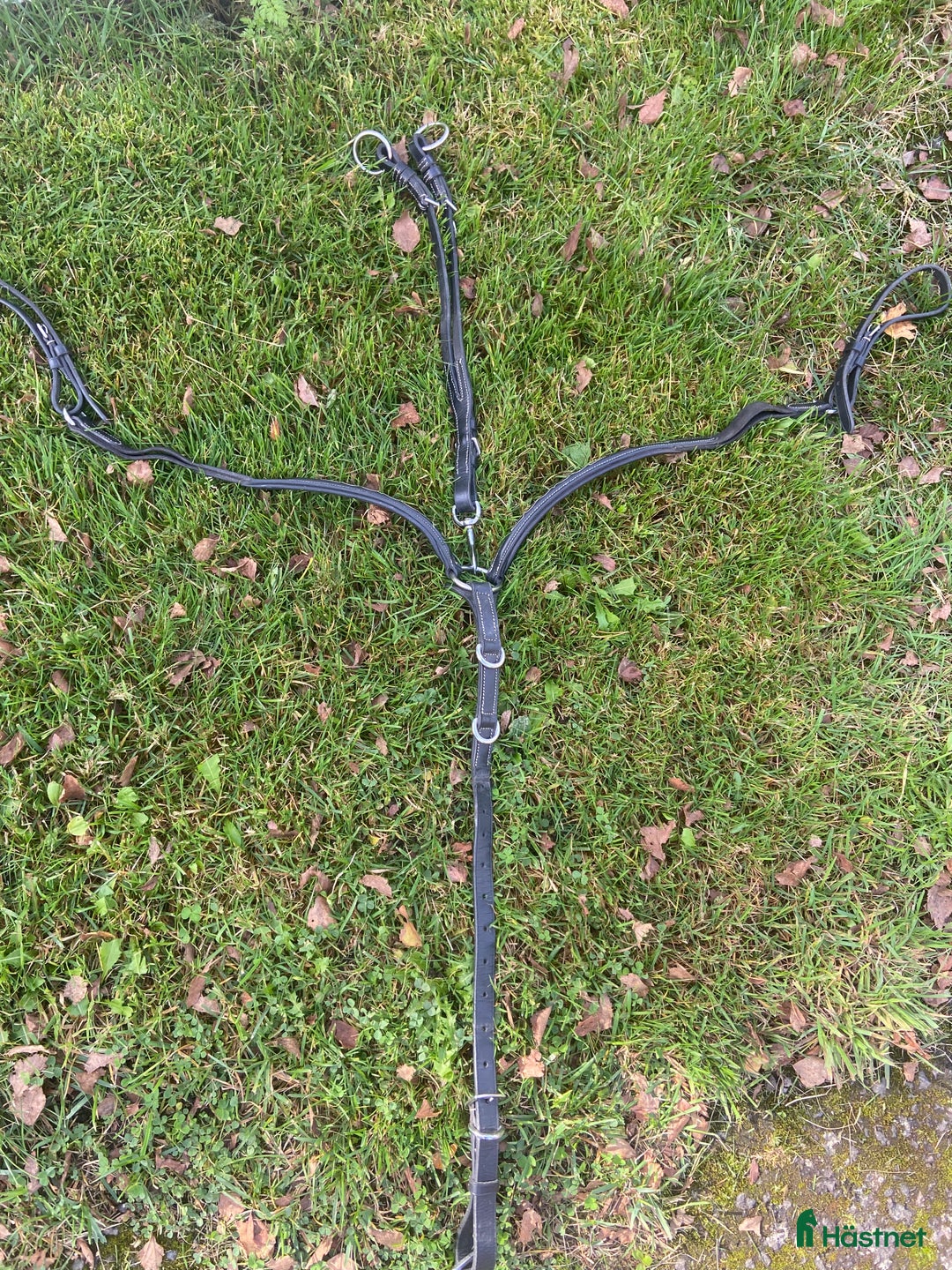 Sadeltillbehör hästutrustning till salu: Brösta/martingal - Annons 1